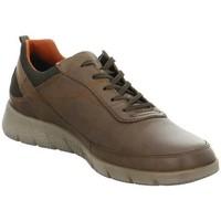 Josef Seibel Cliff 09 men\'s Shoes (Trainers) in Brown