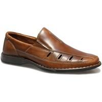 Josef Seibel Steven 12 Mens Slip On Shoes men\'s Loafers / Casual Shoes in brown