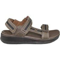 joya capri womens sandals in brown