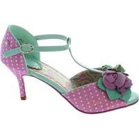 joe browns all things nice womens court shoes in purple