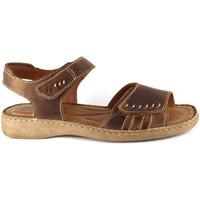 Josef Seibel Lisa 01 Women\'s sandal women\'s Sandals in brown