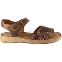 josef seibel lisa 01 womens sandal womens sandals in brown