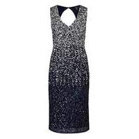 Joanna Hope Ombre Sequin Dress