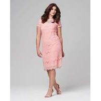 Joanna Hope Lace Shift Dress