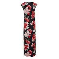 Joanna Hope Petite Print Maxi Dress