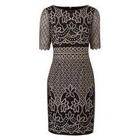 joanna hope petite lace dress