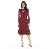 JOANNA HOPE Stretch Lace Dress