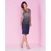 Joanna Hope Ombre Sequin Dress