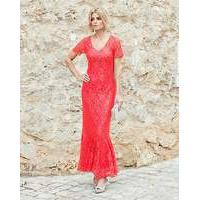 joanna hope lace maxi dress