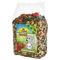 JR Farm Feast for Chinchillas - Economy Pack: 2 x 1.2kg