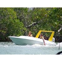 Jungle Speedboat Tour Cancun