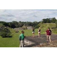 Jungle Jeep and Altun Ha Tour