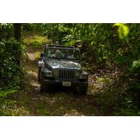 Jungle Jeep Adventure from Belize City