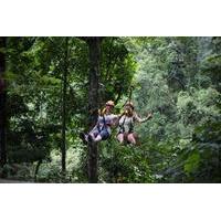 Jungle Zip Lining Adventure from Chiang Mai