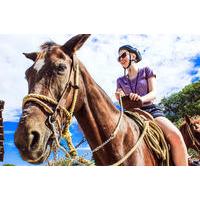 Jungle Horseback Riding Tour