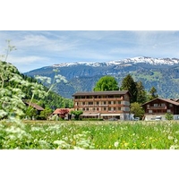 Jungfrau Hotel