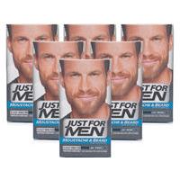 just for men brush in facial hair colour light brown 6 pack