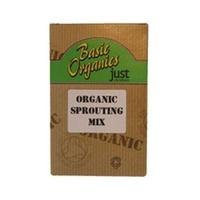 Just Natural Org Sprouting Mix 250g (1 x 250g)
