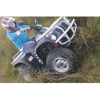 Junior Quad Bikes