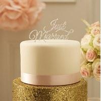 Just Married Cake Topper - Silver