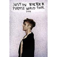 Justin Bieber 2016 Tour Poster