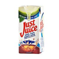 Just Juice Apple 12x 1 ltr