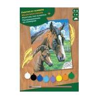 Junior Paint By Numbers Horse and Foal