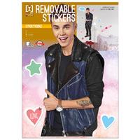 Justin Bieber Wall Stickers