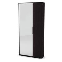 Justin Mirrored Shoe Storage Cupboard In Ebony With 2 Doors
