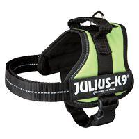 julius k9 power harness light green mini mini