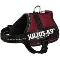 julius k9 power harness bordeaux baby