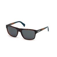 just cavalli sunglasses jc 743s 52n