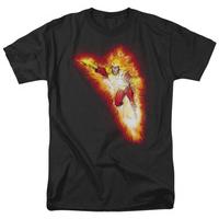 Justice League - Firestorm Blaze