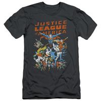 Justice League - Big Group (slim fit)