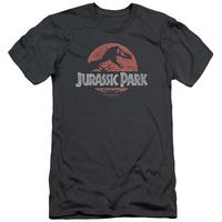 Jurassic Park - Faded Logo (slim fit)
