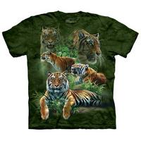 Jungle Tigers