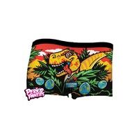 Jurassic Period Boyshorts - Size: XL