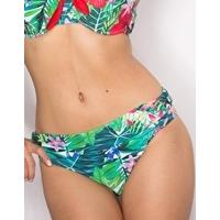 Jungle Fever Brief - Multi