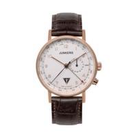 Junkers Eisvogel F13 (6736-4)