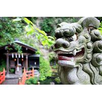 Kamakura Walking Tour: Explore Nature and History