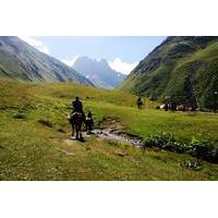 Kazbegi-Juta History and Nature Tour from Tbilisi