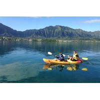 Kaneohe Bay Kayak and Snorkel Tour to Coconut Island