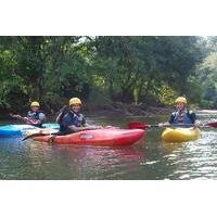 kayak jungle tour on the sarapiqui river