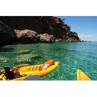 Kayak Tour of Palma Bay