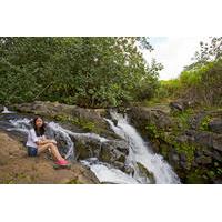 Kauai Waterfalls Tour