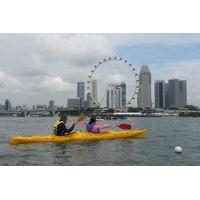 kayak tour to singapore flyer gardens by the bay and marina bay sands
