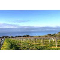 Kangaroo Island Shore Excursion: Food and Wine Trail Tour