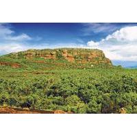 kakadu nourlangie and yellow waters tour with optional flight over kak ...