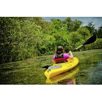 Kayaking on Broad River with Wine Tasting