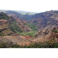 Kauai Waimea Canyon Experience